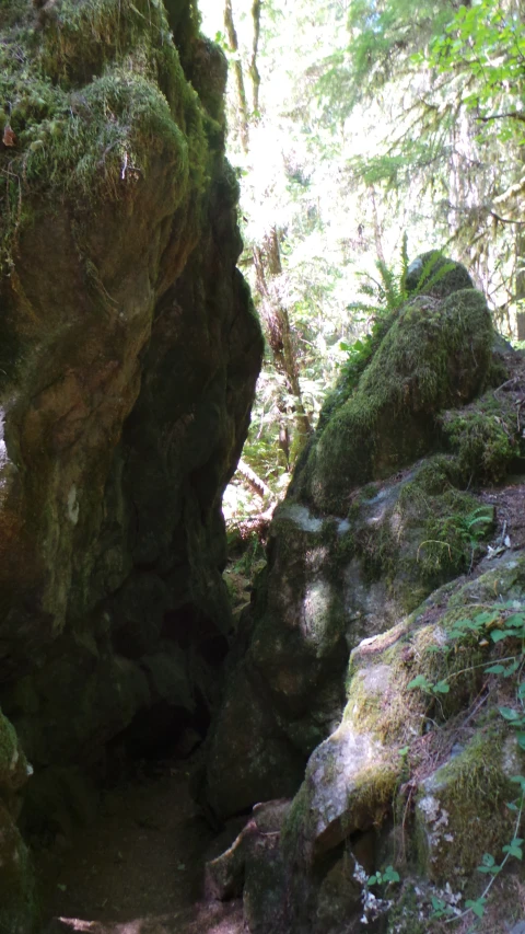 a hiker is hiking through an area with lots of rocks and greenery