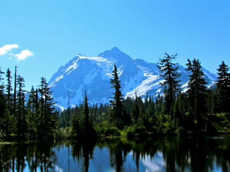 the mountain is behind some trees in a lake