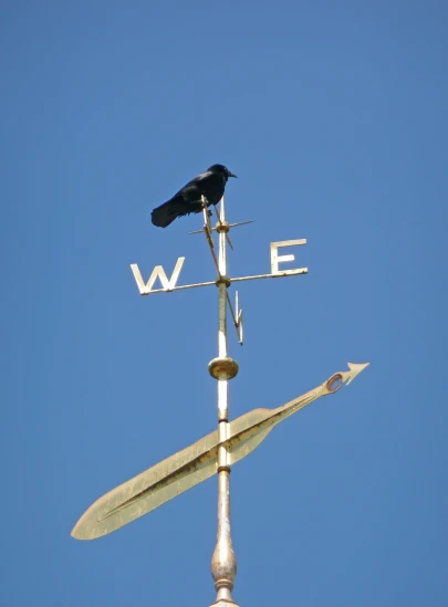 the black bird is sitting on top of a weather vane
