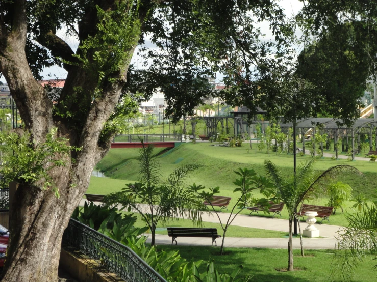 a park bench on the grass near trees