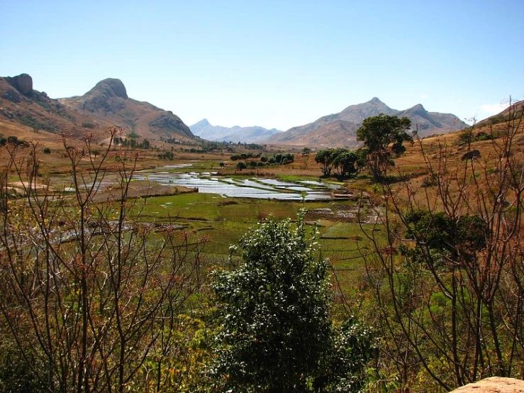 a wide landscape with grass, trees and mountains in the background