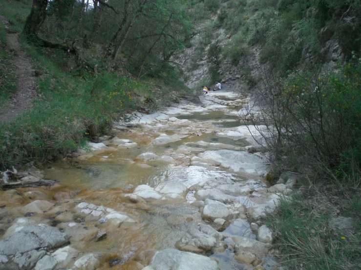 small river surrounded by lush vegetation and trees