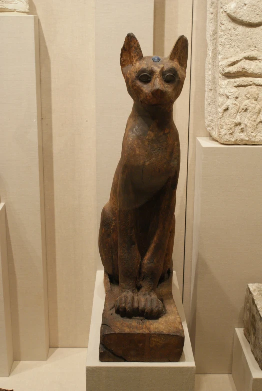 a statue of a cat sitting on display in a room