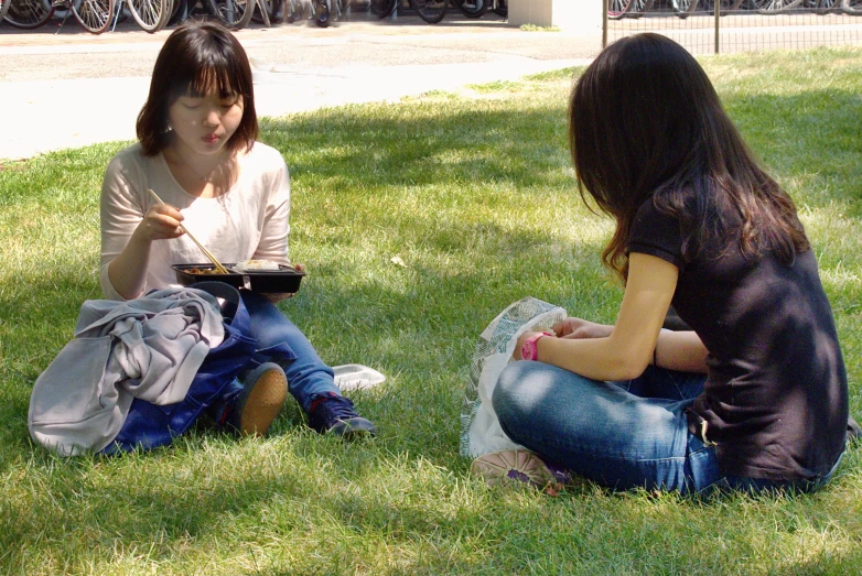 two young ladies sitting in the grass with their laptops