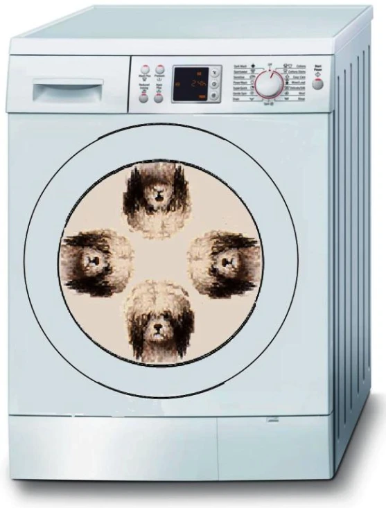 a po of three dogs printed on the back of a washing machine