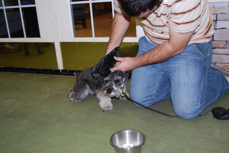 a dog is getting a hair dry by his master