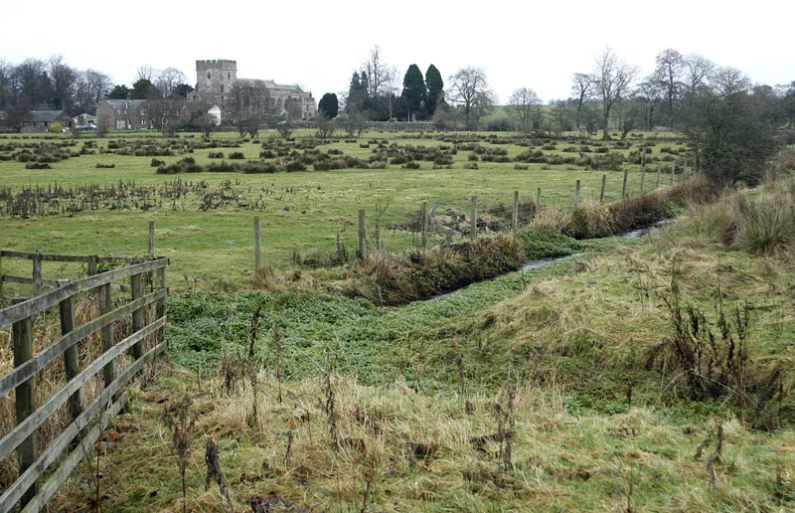 a field with grass, trees and buildings behind it