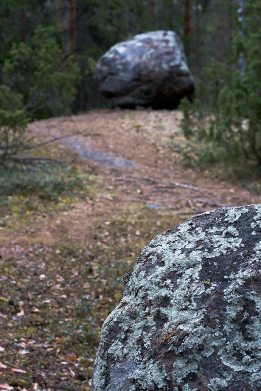 a rock sitting on the side of a forest road