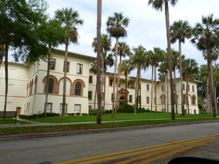 trees lined the street beside an old building