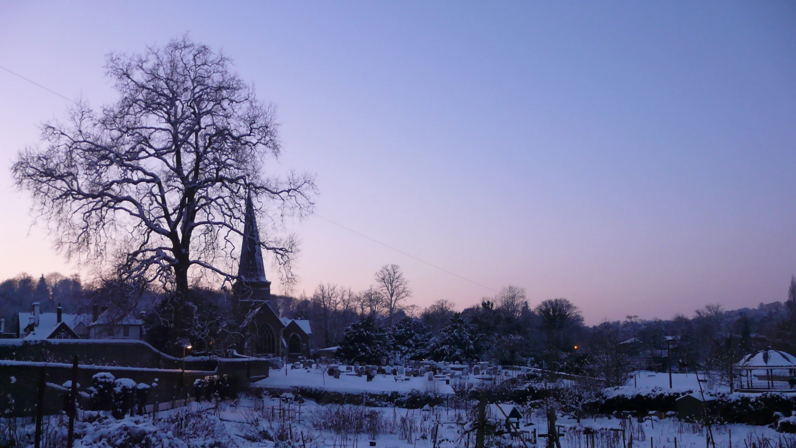 a snow covered park with a large tree in the middle