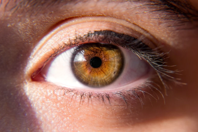 closeup image of a person's eye