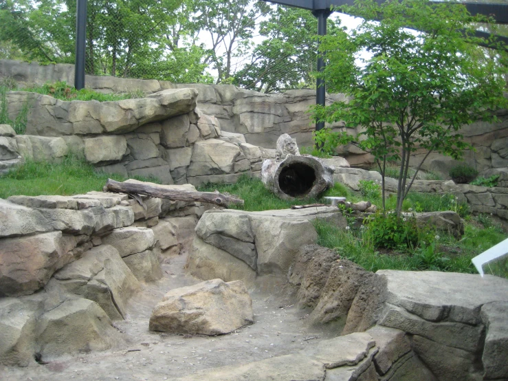 this is an image of a zoo setting with rocks