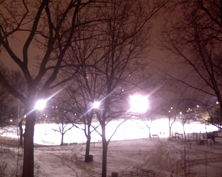 a snowy field has bright lights and snow covered trees