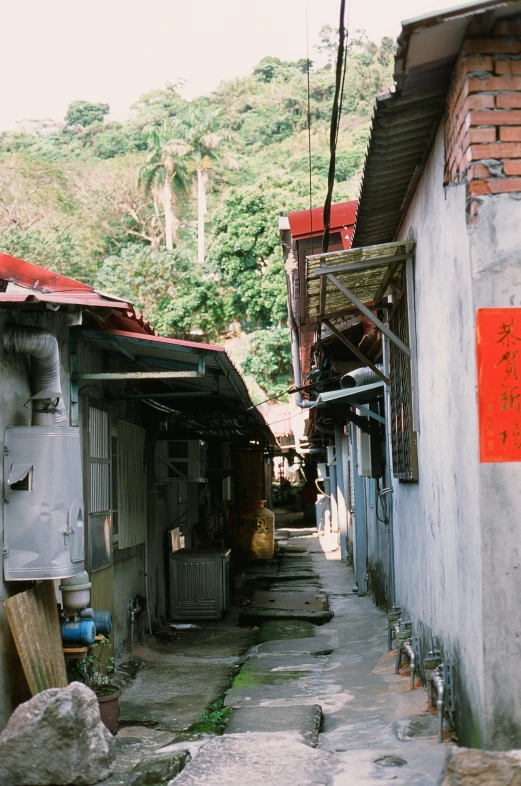 alley way in rural area next to wooded area