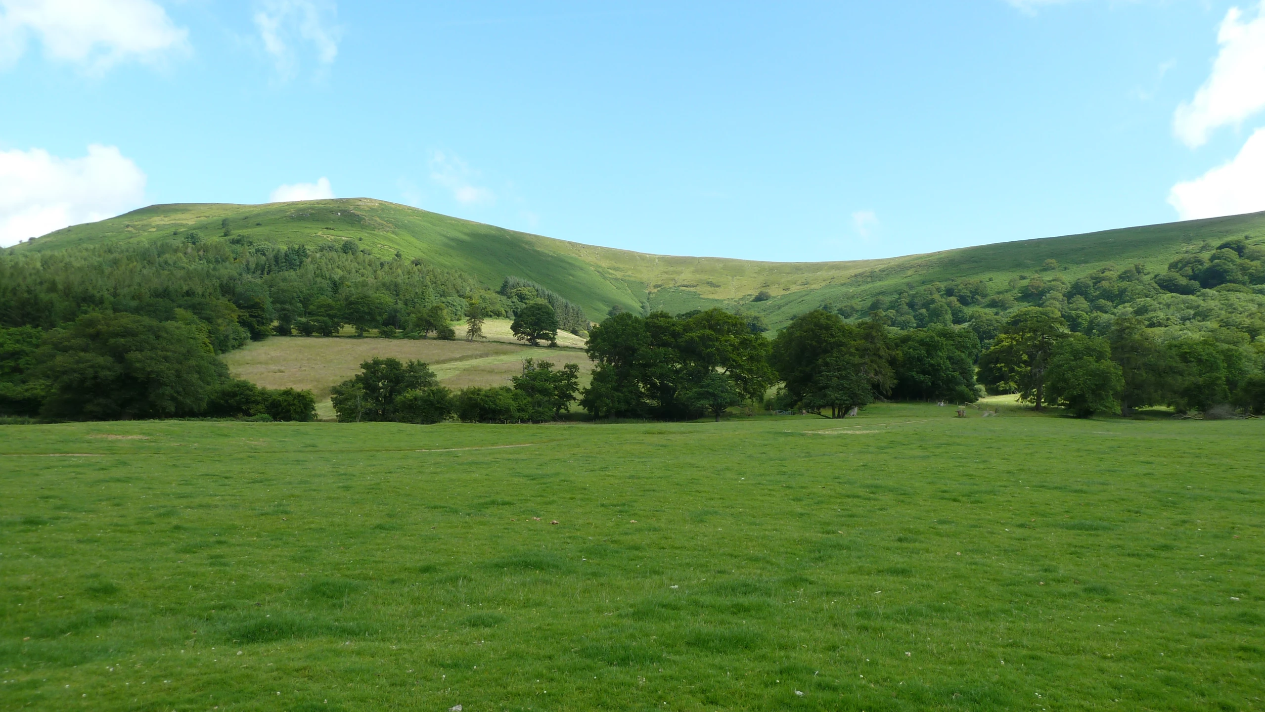 green field with hills in the background and clouds in the sky