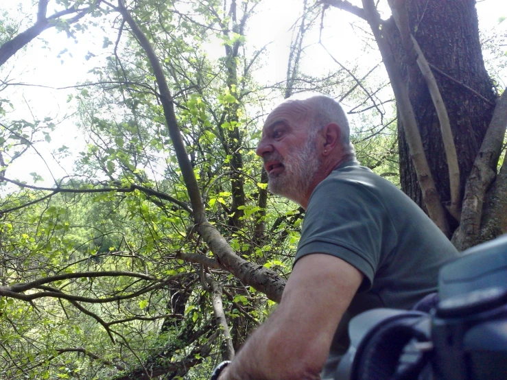 man sitting on bench looking up at tree nch