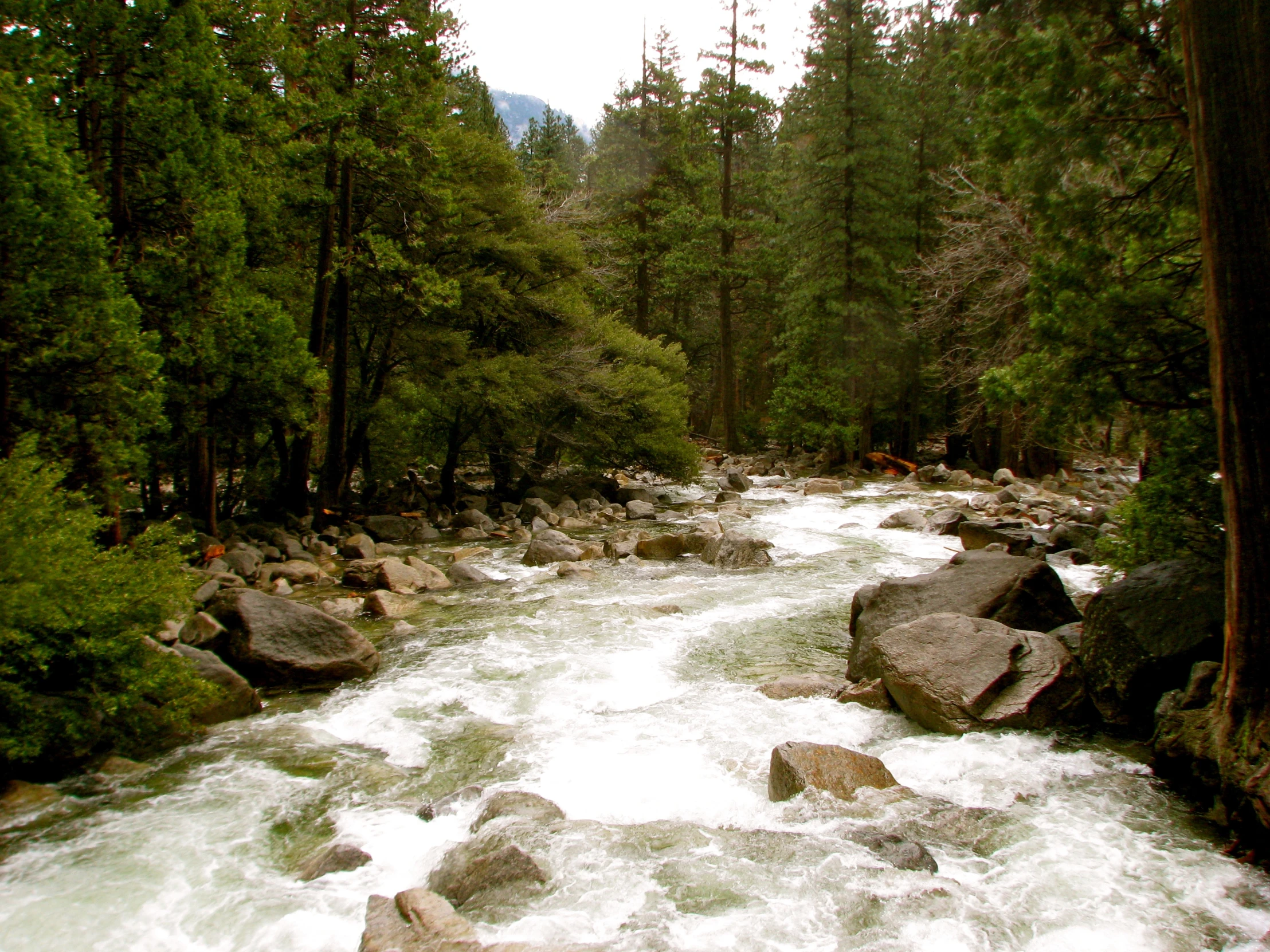 rapids run through the rocky stream as people swim in it