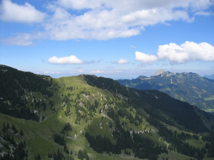 some trees and grass with some hills in the background