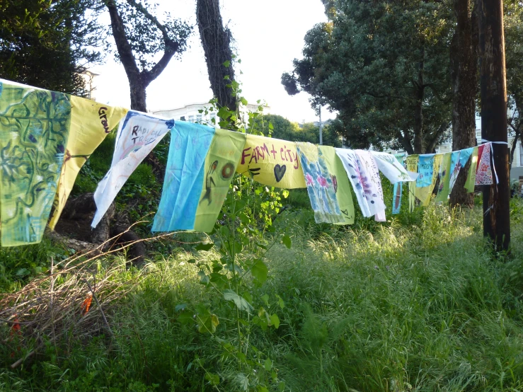 clothes drying outside on line in grassy area