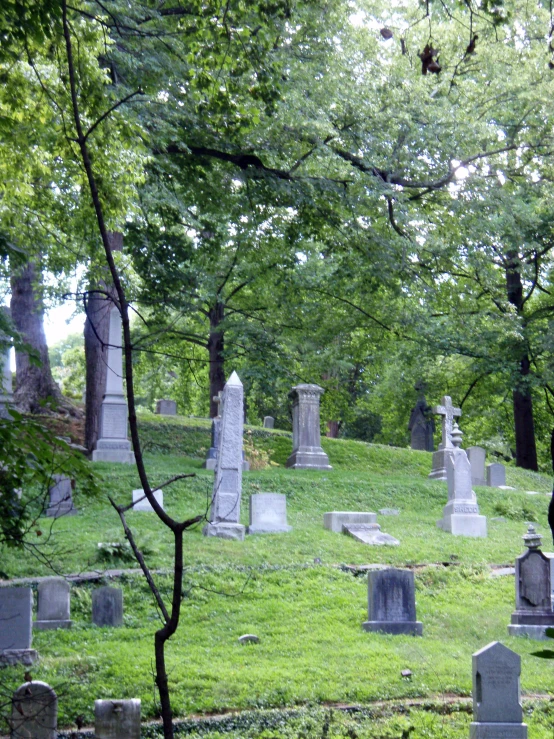 a cemetery with green grass and graves