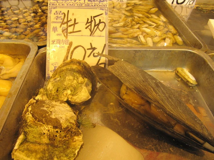 a meat stand with fresh fish inside