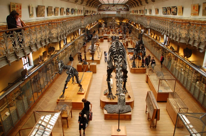 a room that has different sized animal on display