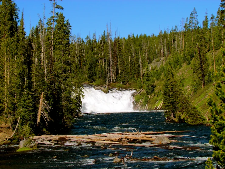 a waterfall in the middle of a forest