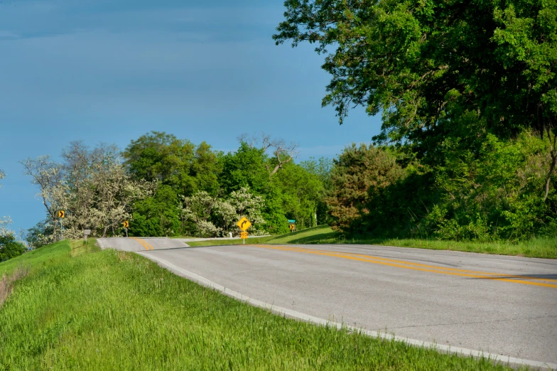 the tree line is green and the street sign is yellow