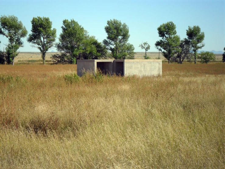 a grassy field is pictured with no people in it