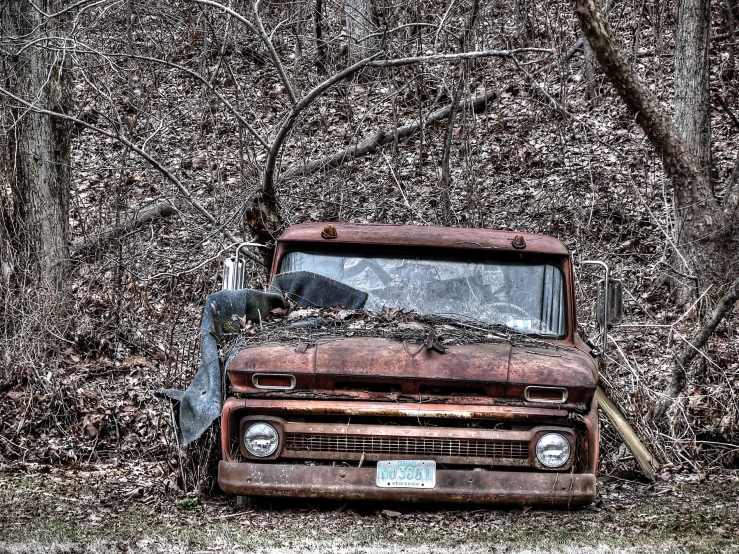an old rusty truck parked in front of trees