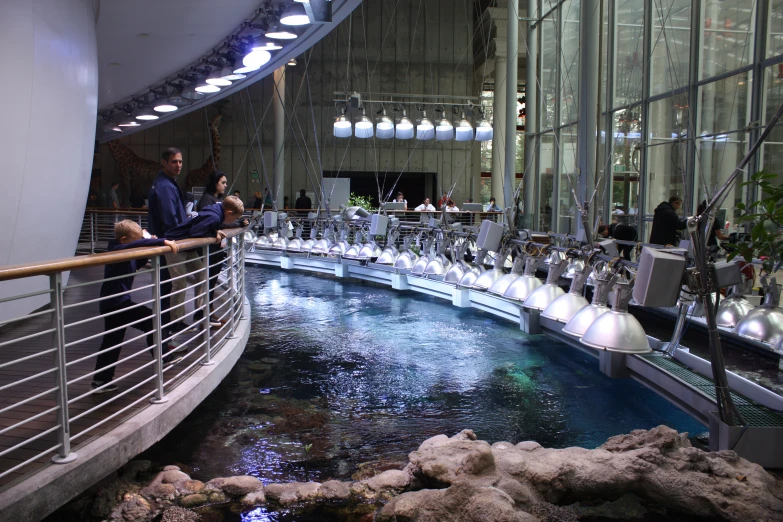 people in the atrium looking at objects on display