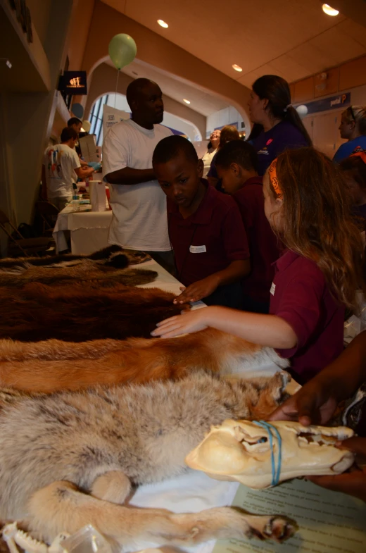 people are looking at different types of fur
