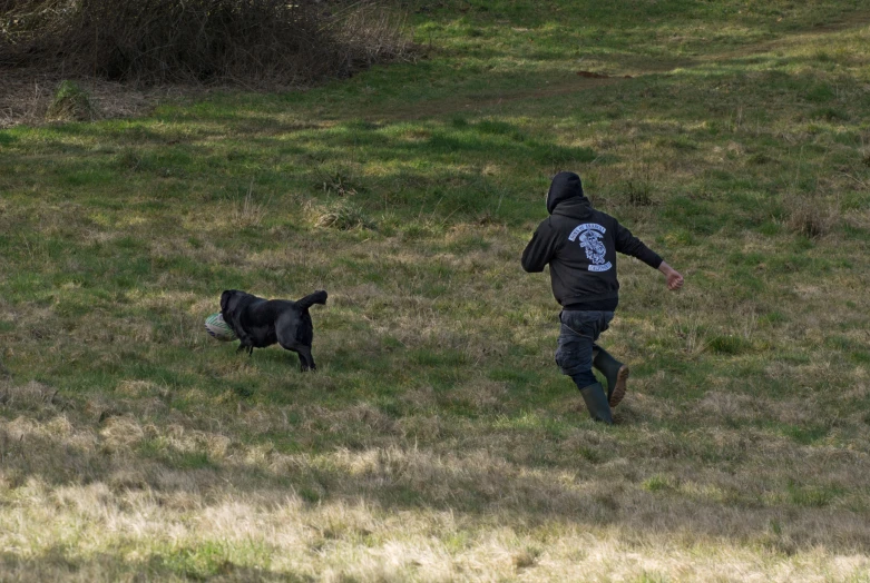 a person walking with a dog in a field