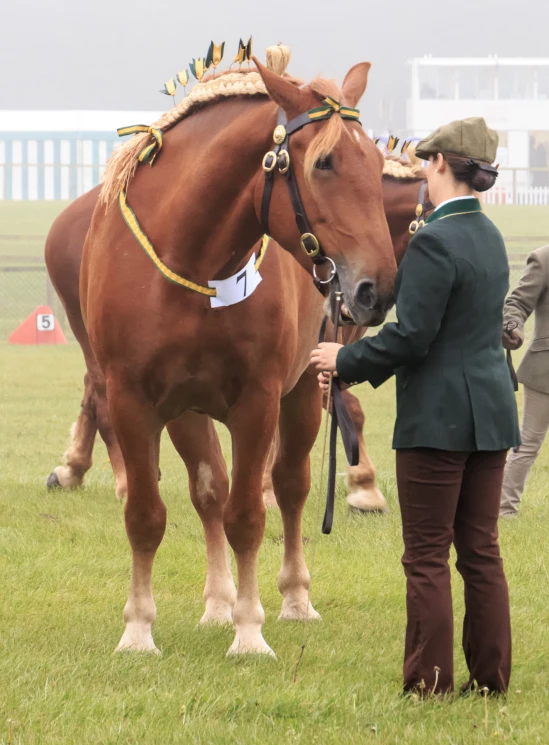 an equestrian standing next to another horse