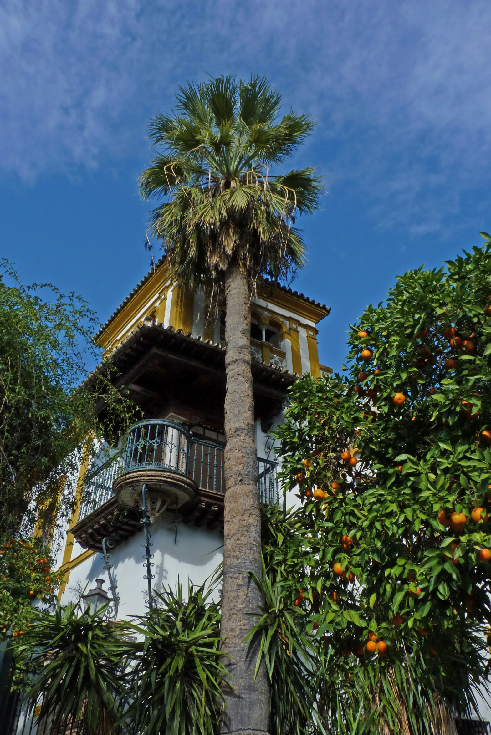 the building has a balcony and trees around it