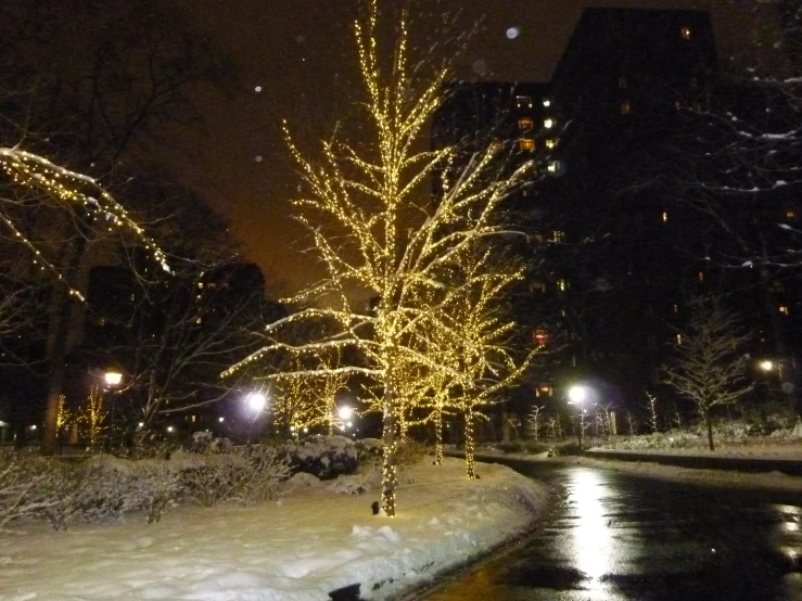 a lighted tree next to a snow covered street