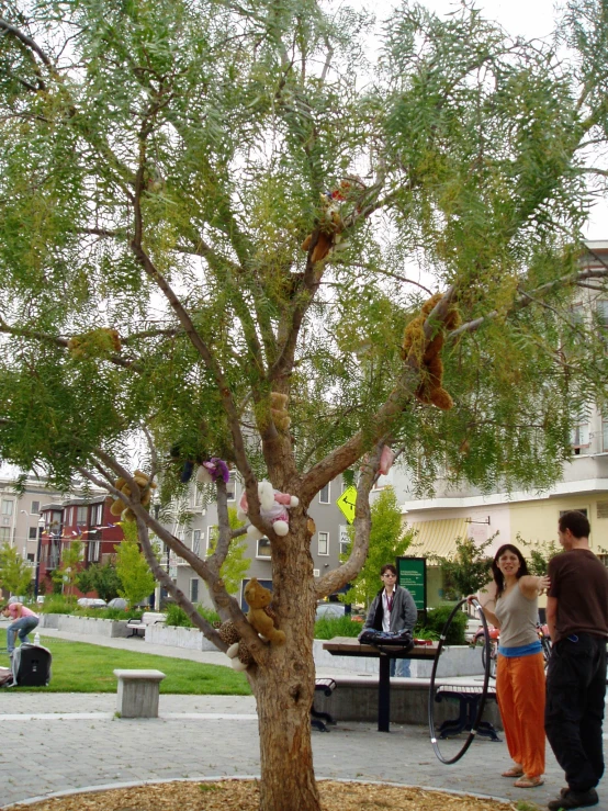 a group of people gathered around a tree