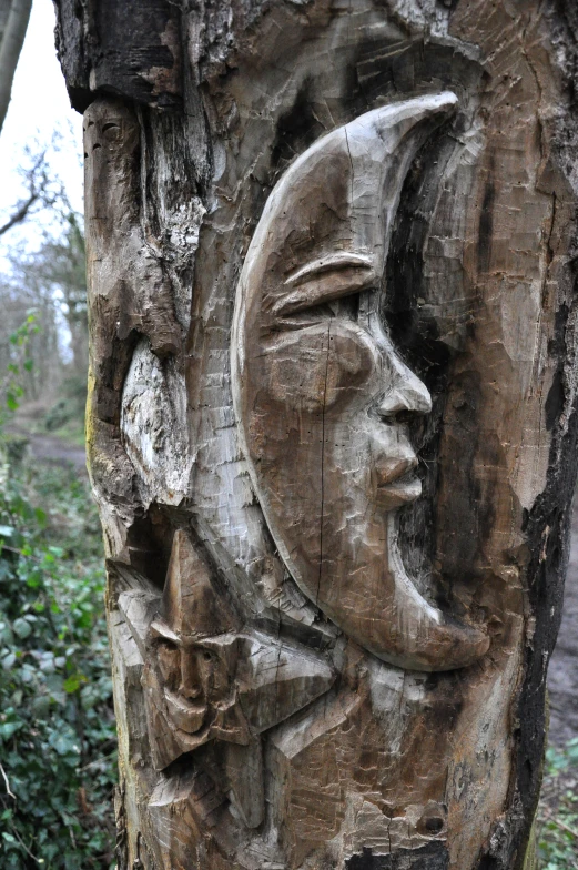 a carving of a human head on the side of a tree