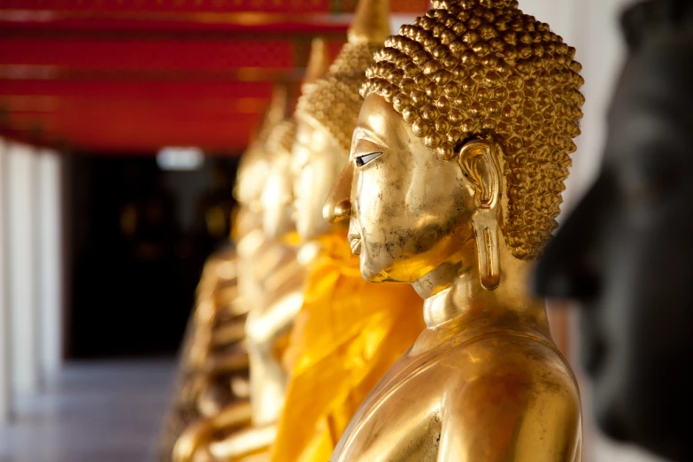 golden buddha statues in a row next to a black dog