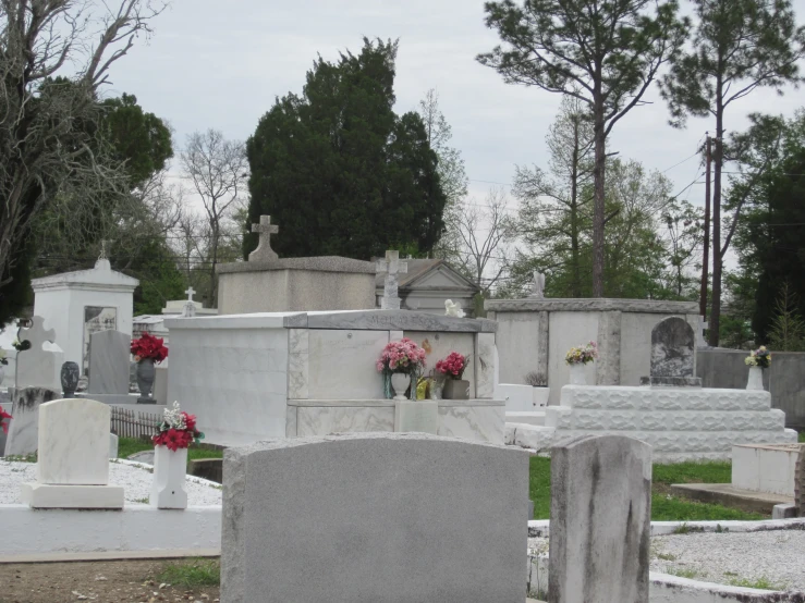 headstones and red flowers sit at the foot of cement headstones