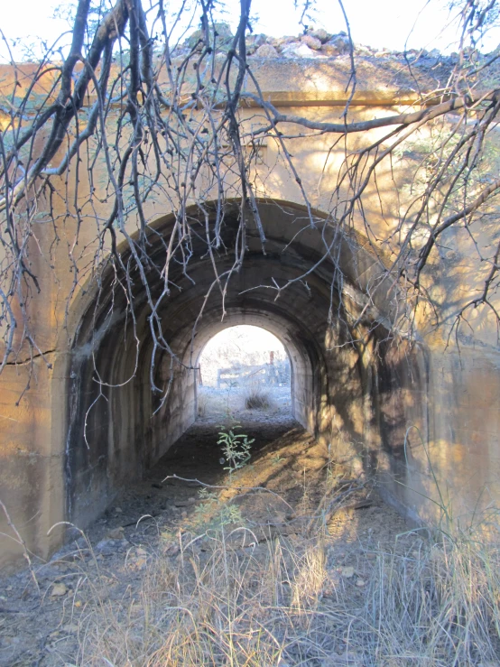 the tunnel is near trees and a light is on