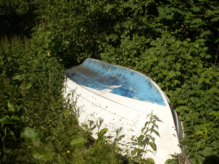 an old broken boat is lying in the overgrown land