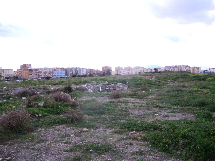 the field has grass and rocks on it