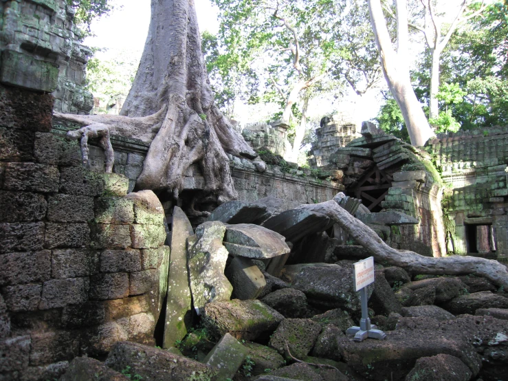 a stone building that has some trees growing on it