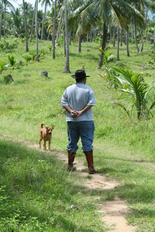 a man with hat, jeans and boots walks by a dog