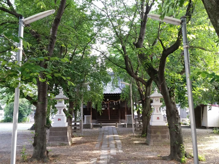 an area with trees and statues inside a church