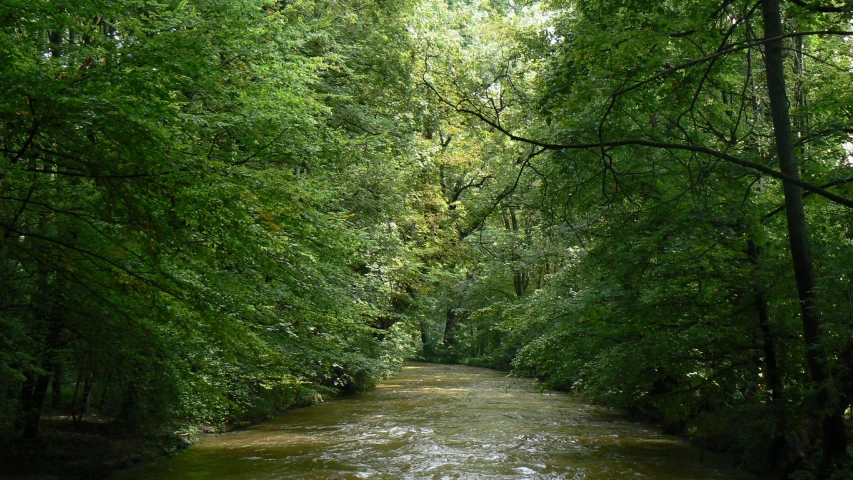 a river is surrounded by trees and water