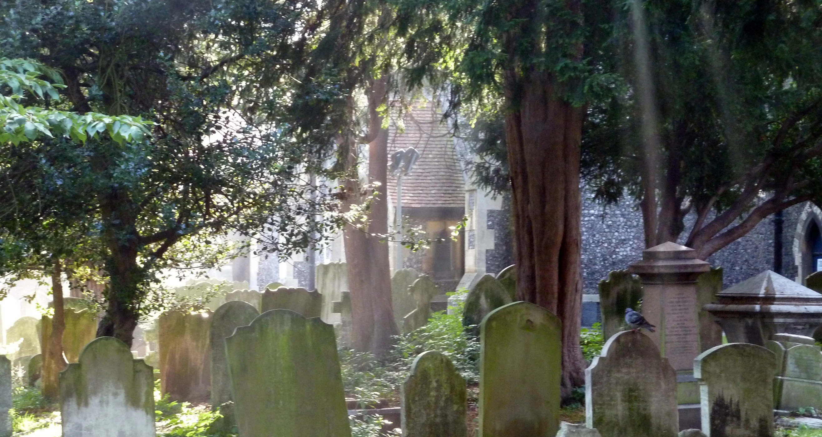 a graveyard with a number of headstones, some trees and grass