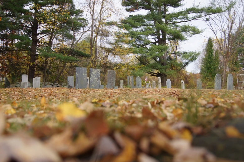 a large cemetery with many headstones in it