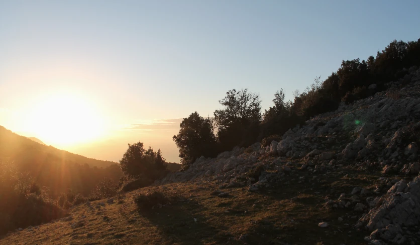 a grassy hill with some trees and a person on the side